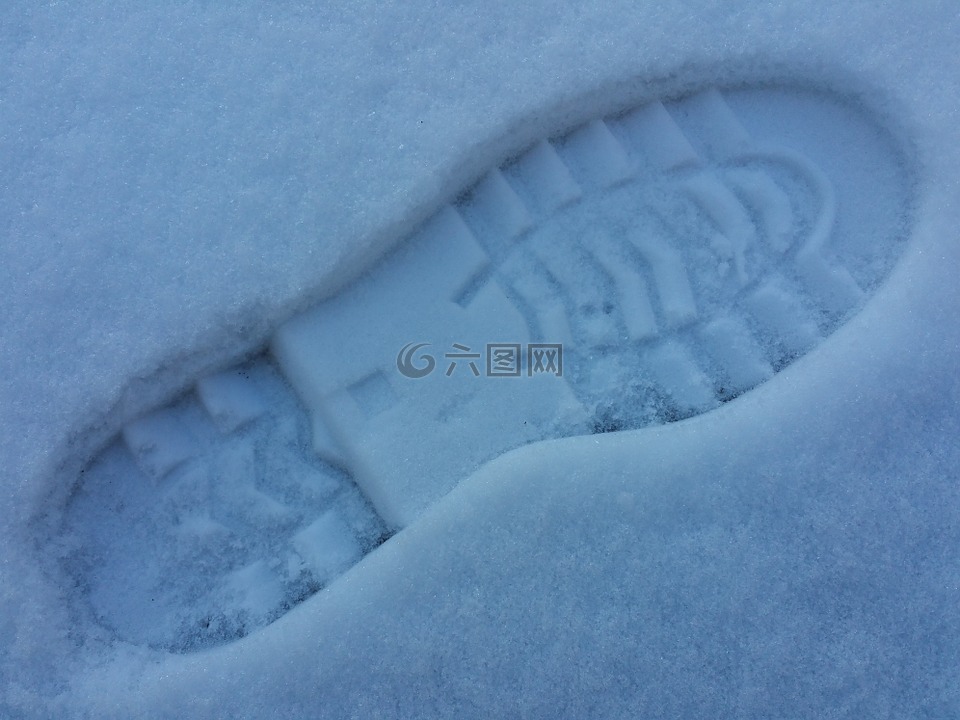 雪,再版,冬天
