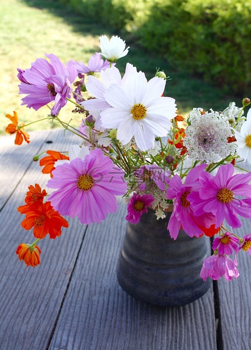 花,自然,花的