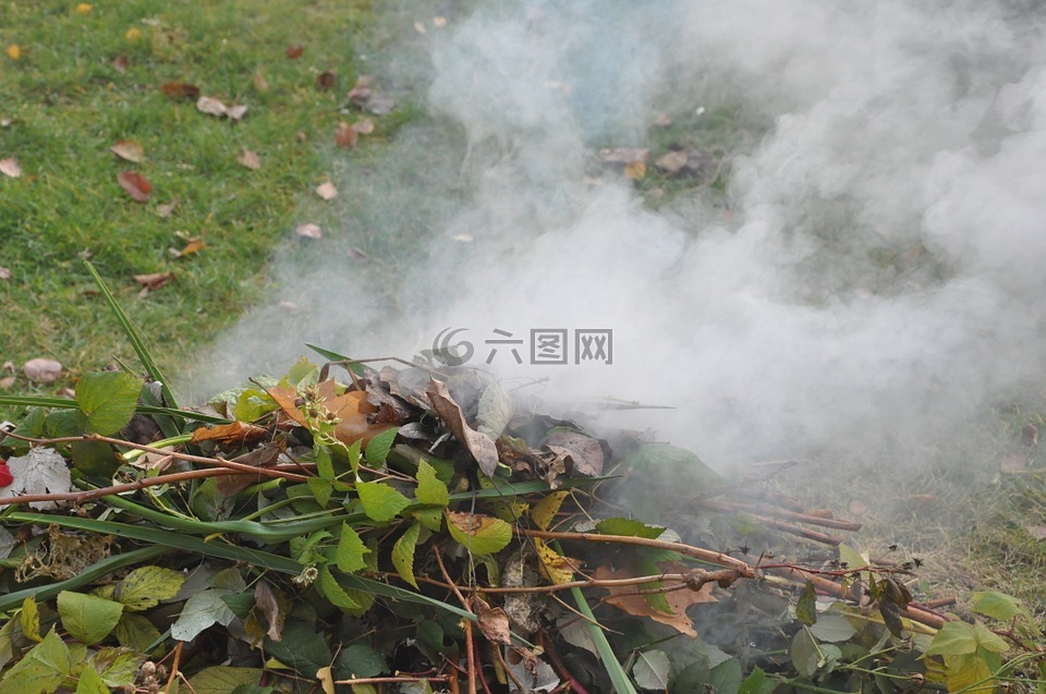 煙,暴發(fā),花園