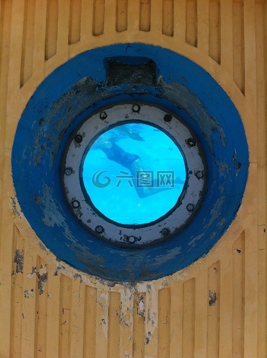 貓眼,分流,游泳
