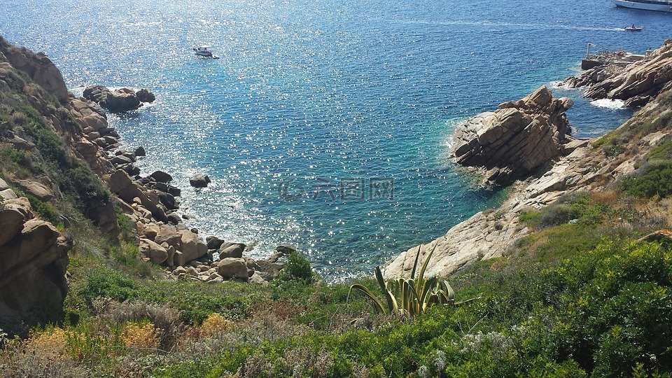 島百合,托斯卡納,夏季