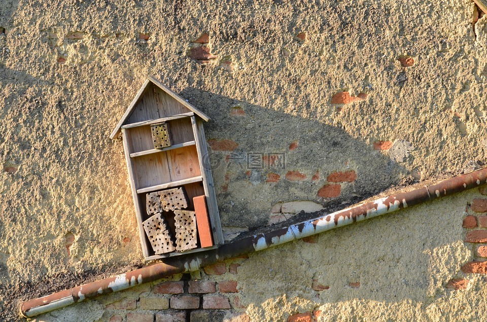 酒店,昆蟲,建設(shè)