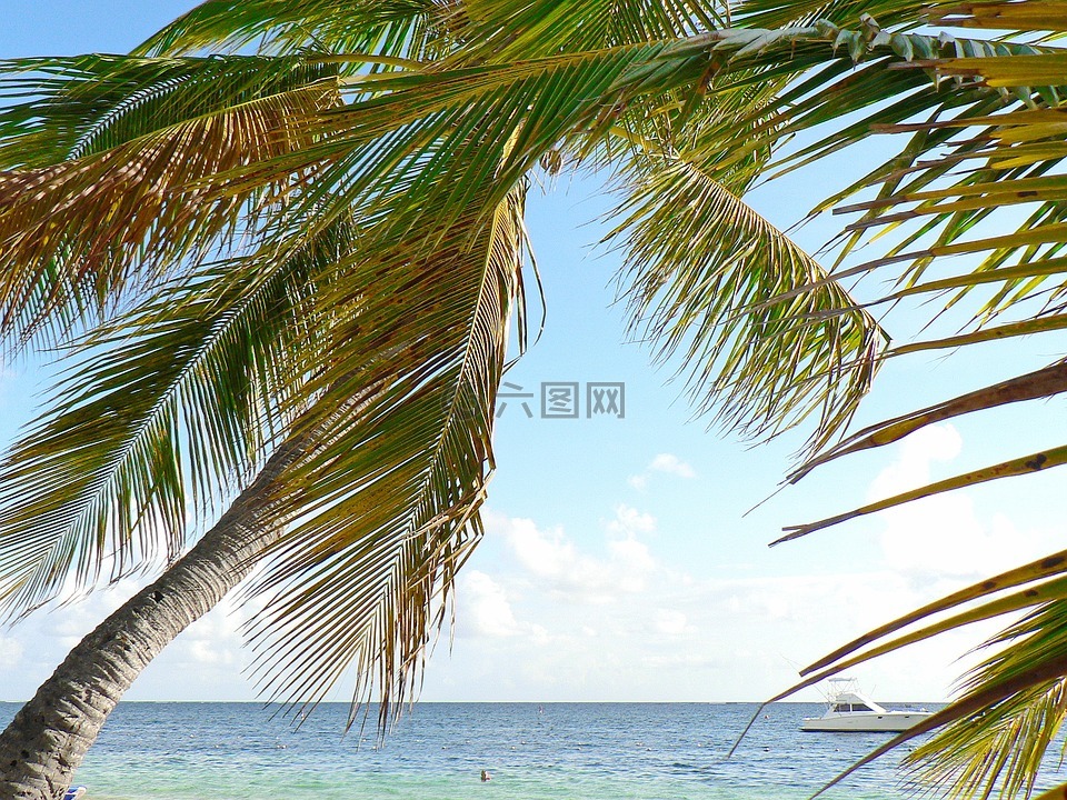 古巴,海灘,假日