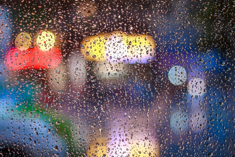 雨,滴,湿