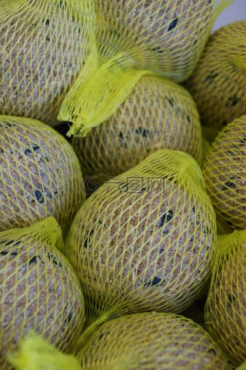 食物,鳥(niǎo)食,鳥(niǎo)類