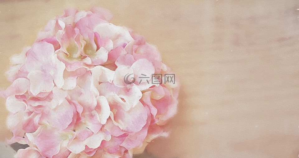 繪畫,花,開花