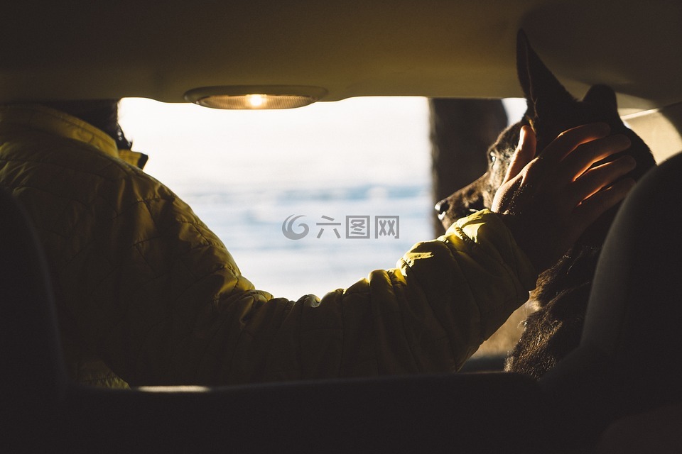 人,男子,車
