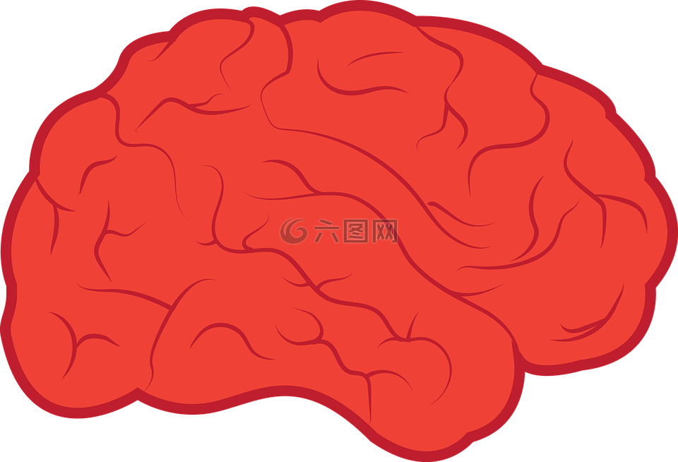 腦,神經(jīng)病學(xué),記住