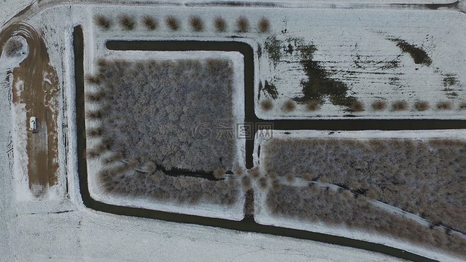 冬天,雪,景觀