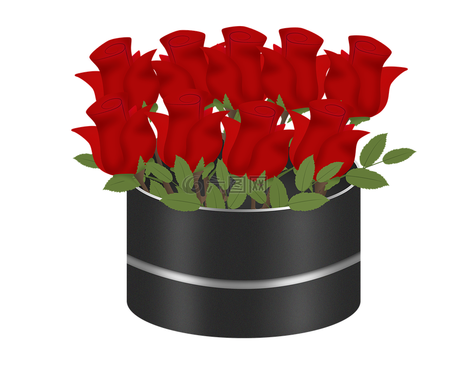 禮品,裝飾,植物