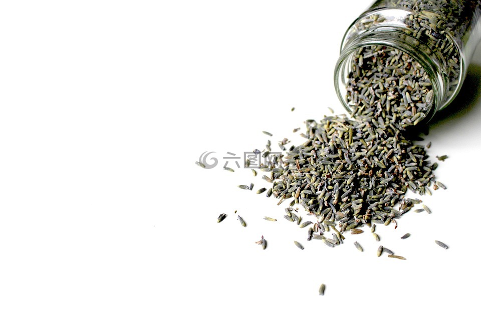 熏衣草,薰衣草花,干