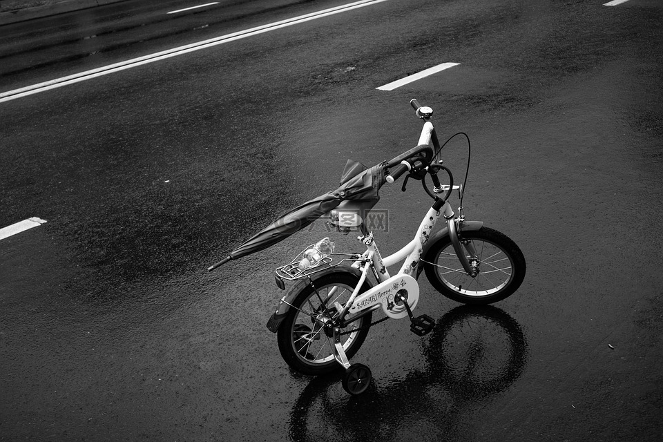 路,雨,自行車