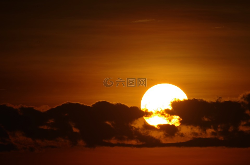 日落,鸭,天空