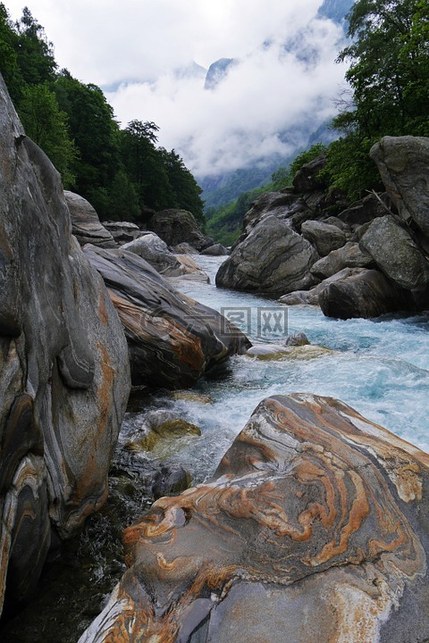 水,野生,河