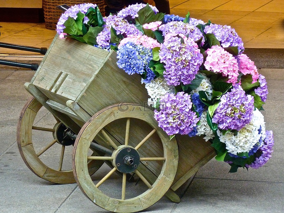 鮮花,購物車,花