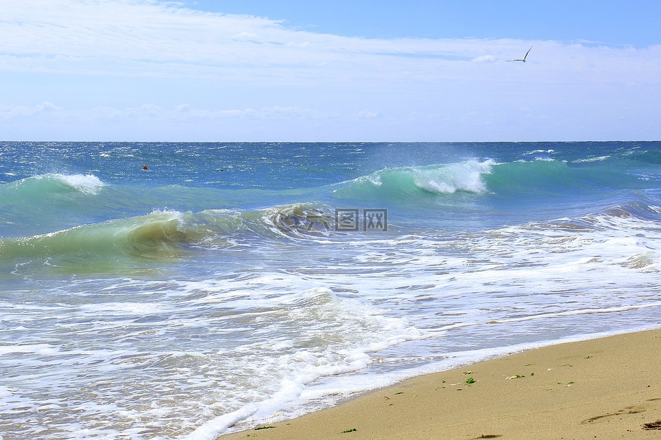 海,海浪,海灘