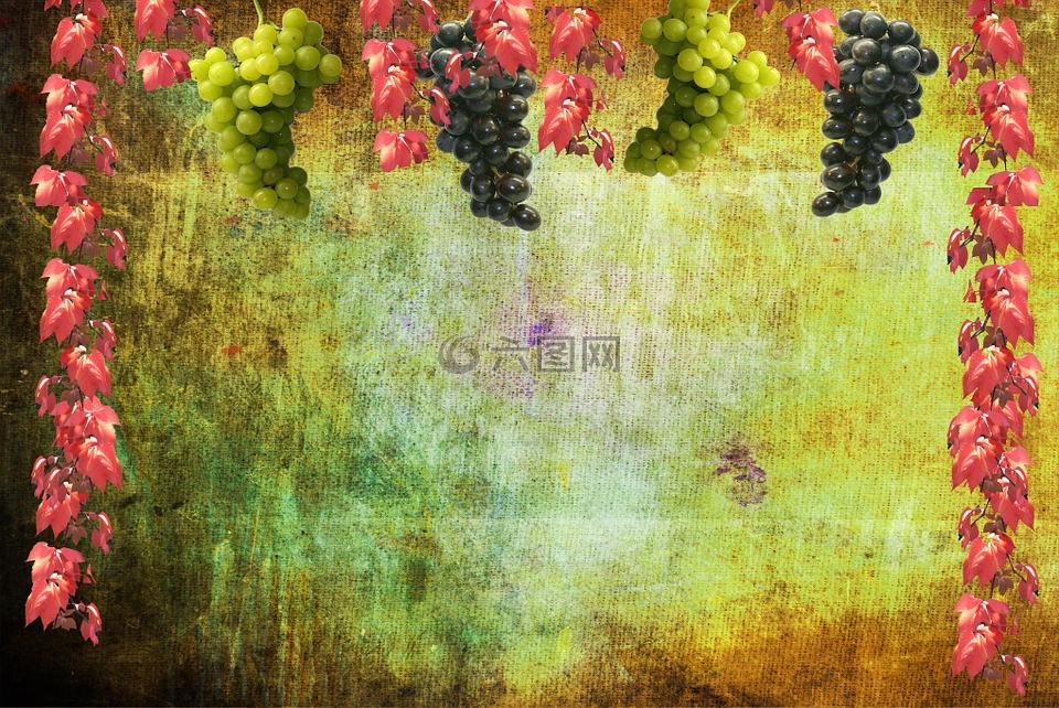 葡萄,酒,秋季