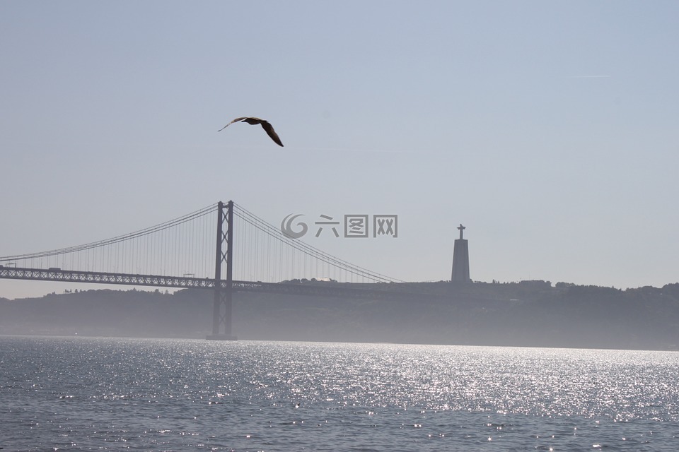 橋,里斯本,海鷗