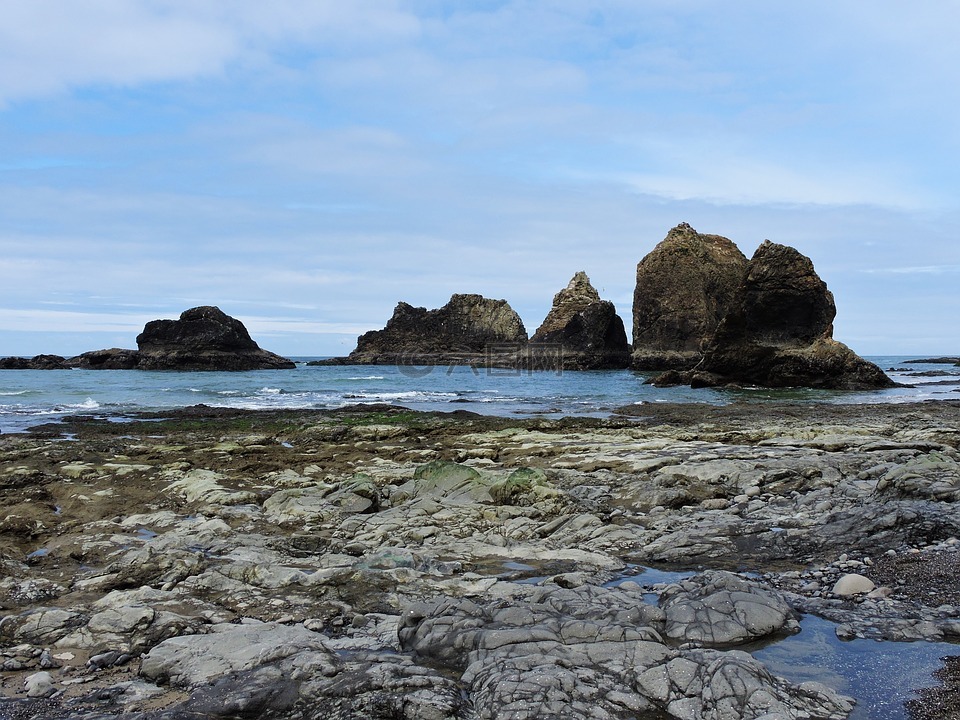 海岸,俄勒岡海岸,海洋