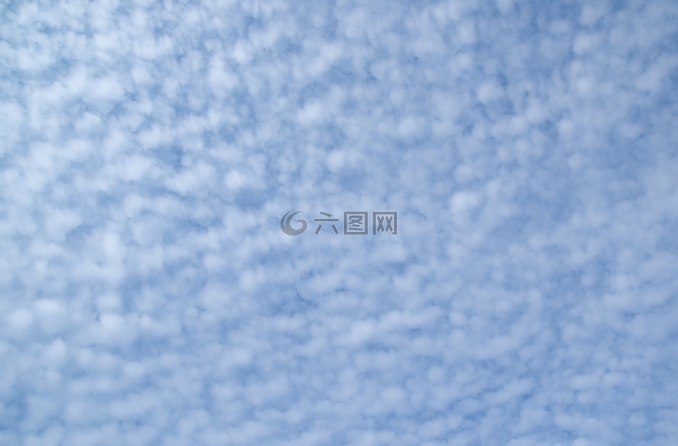 蓬松,云,cloudscape的