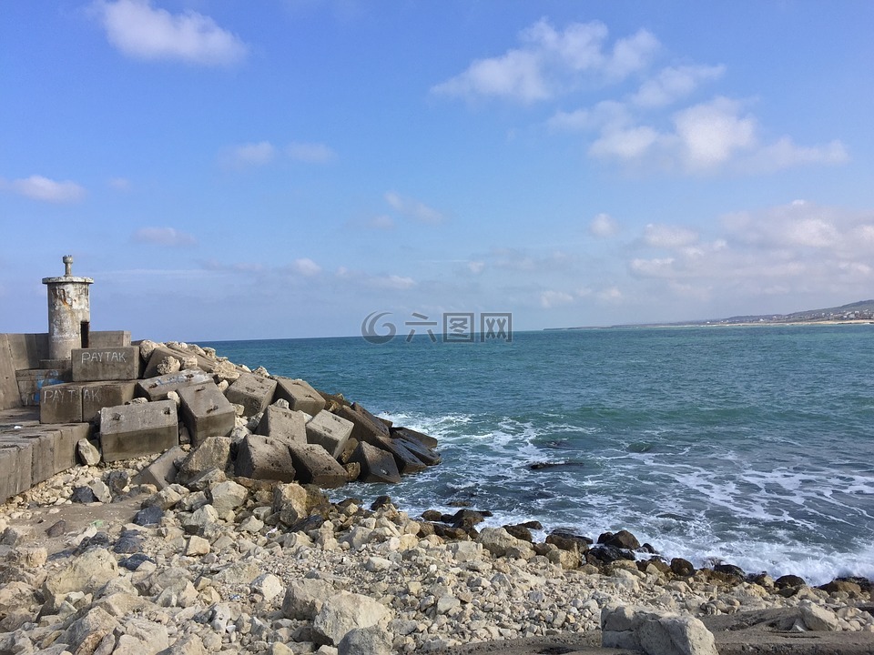 燈塔,巖,海濱