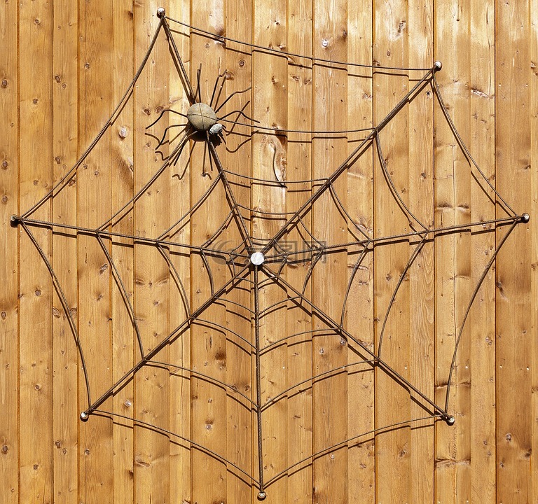 木墙,蜘蛛,蜘蛛网