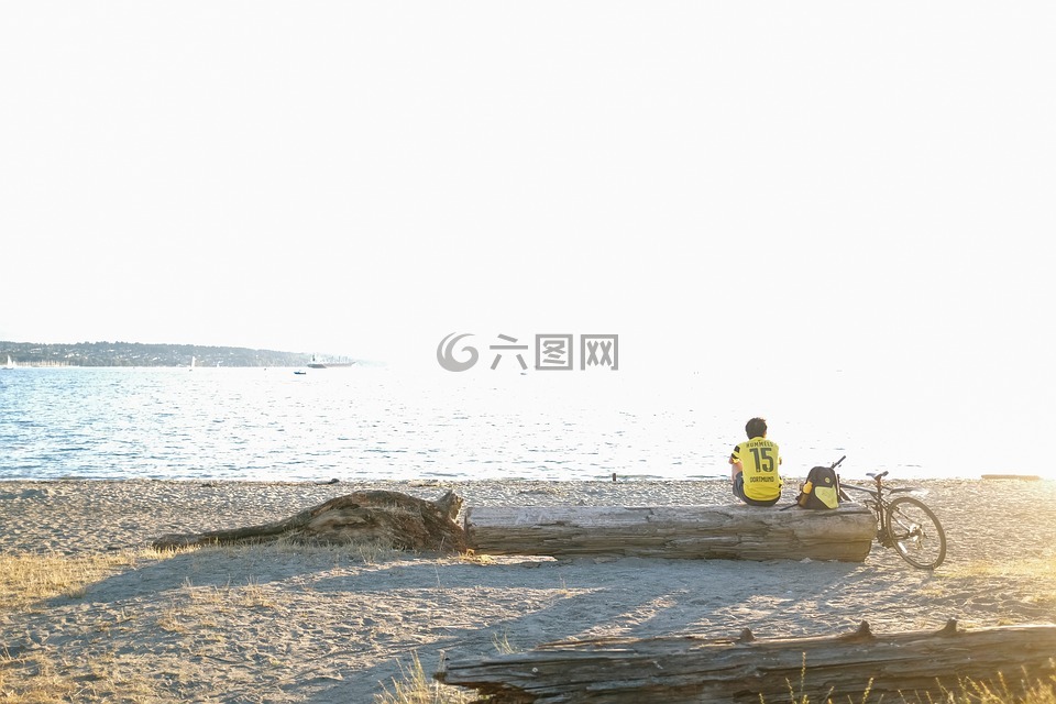 海,海洋,水