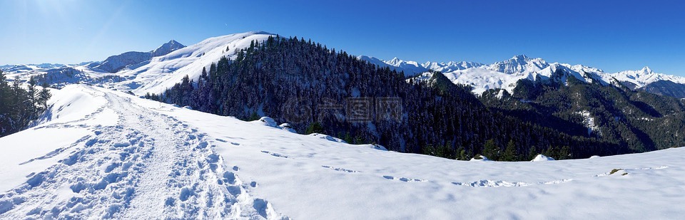 雪,冬天,全景