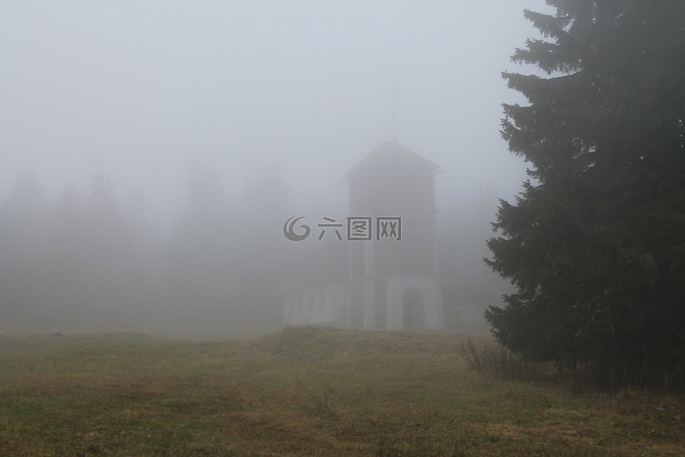 森林,霧,巨人山脈