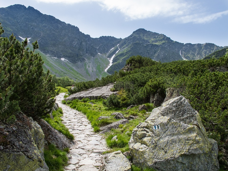 国家,景观,山