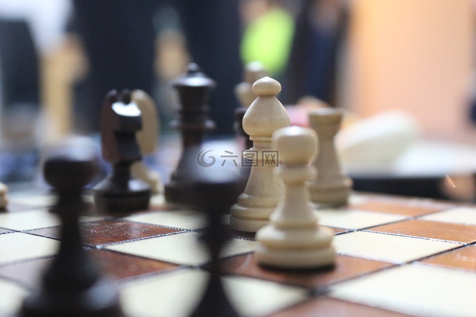 象棋,馬,springer國際象棋棋盤