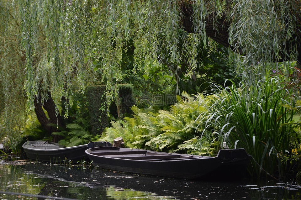 景觀,spreewald,卡恩