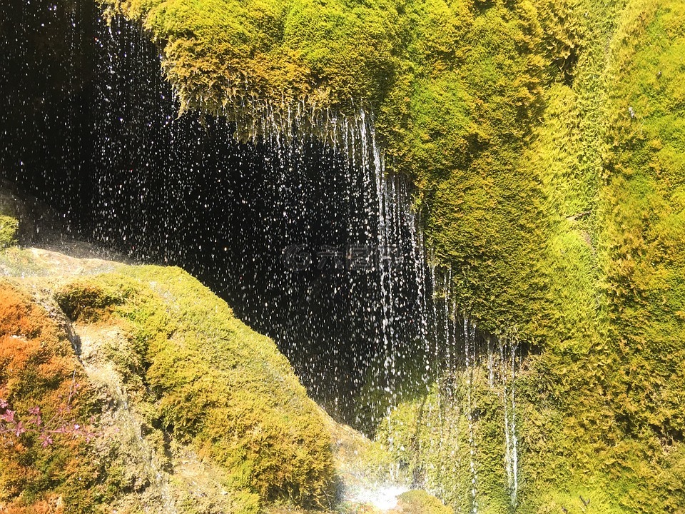 苔,濕,一滴水