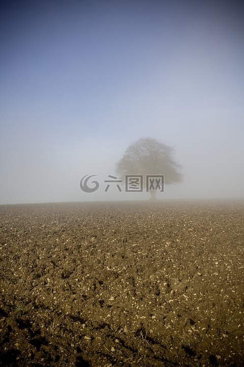 霧,露水,秋季