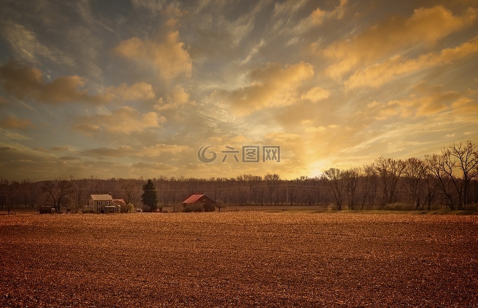 日出,風(fēng)景,樹