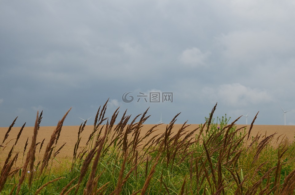 天空,夏天,藍(lán)色