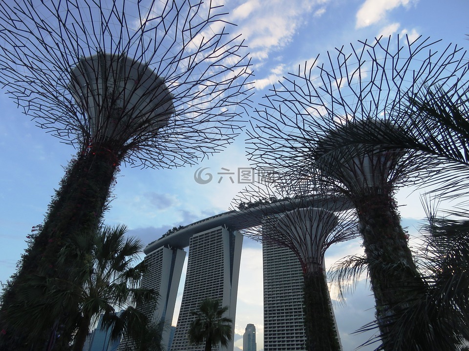 濱海灣,花園的海灣,新加坡