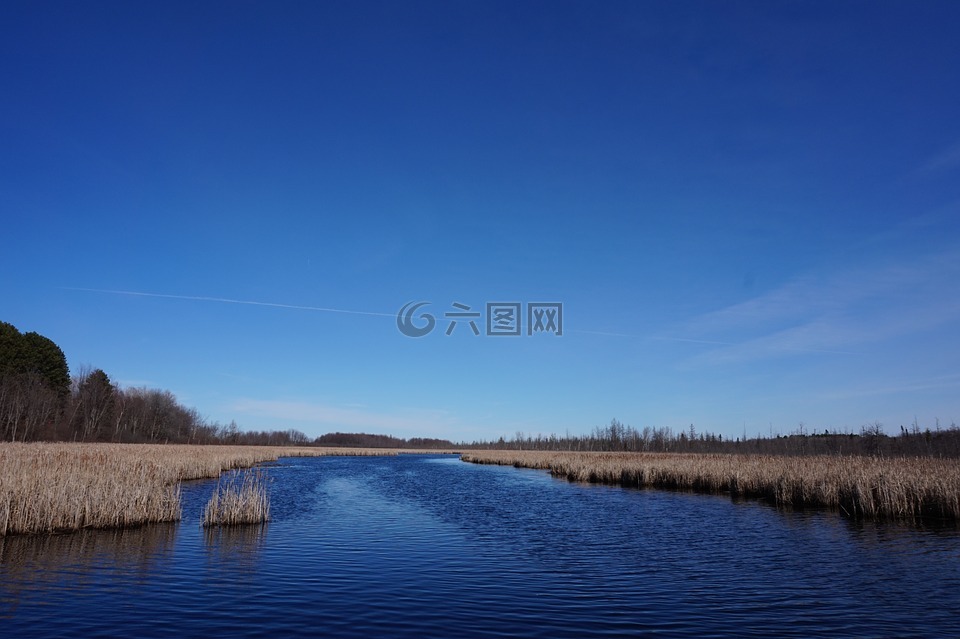 自然,渥太華,戶外