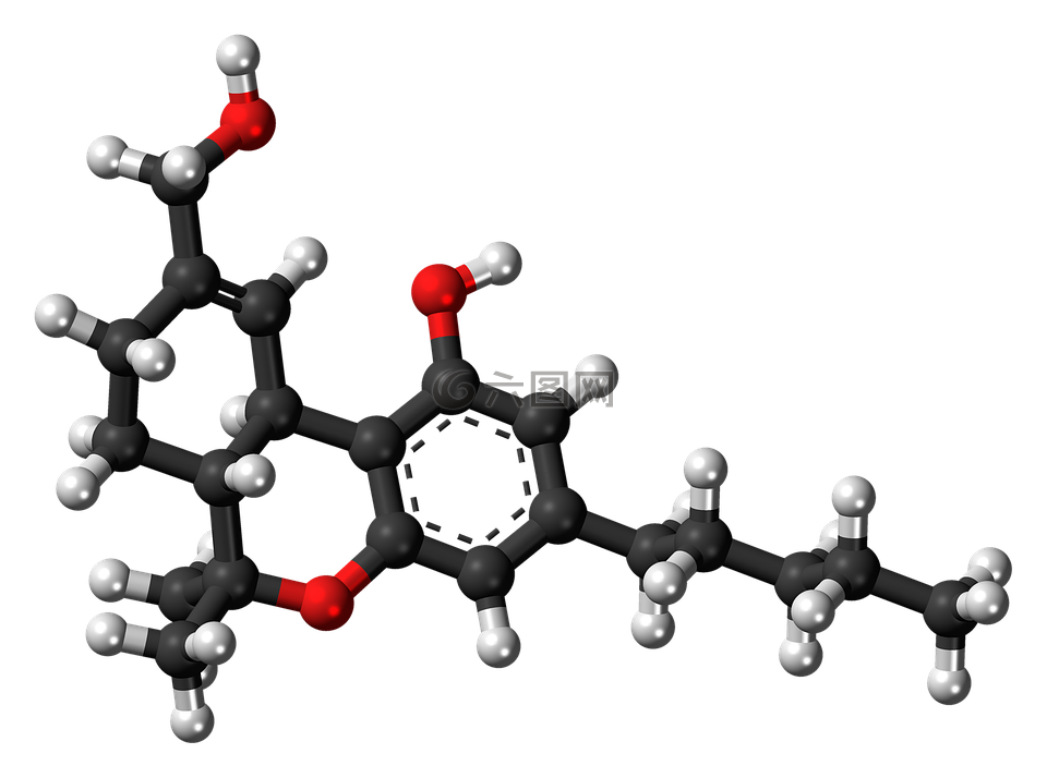 四氫大麻酚,代謝產(chǎn)物,羥基