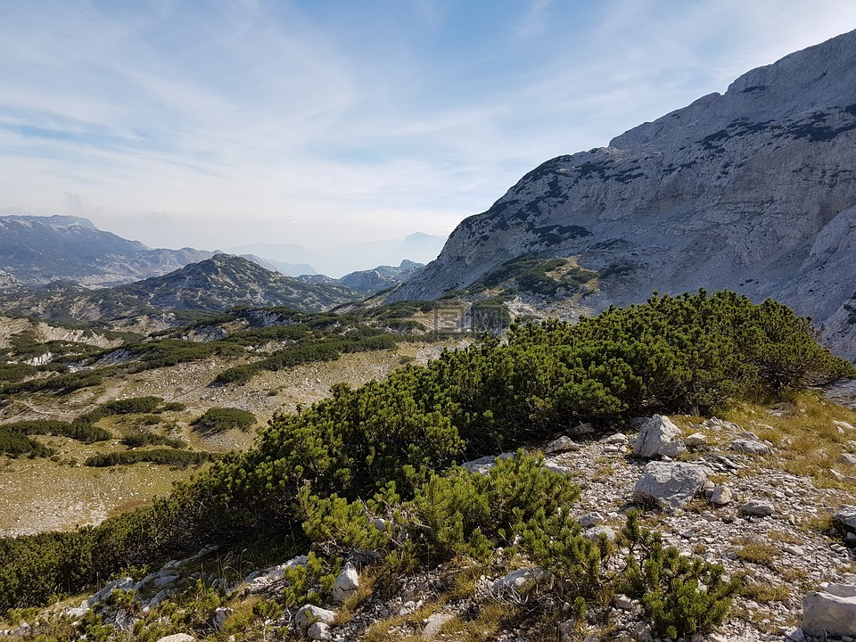 山小山景观