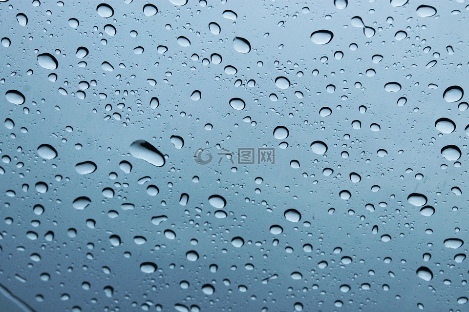 滴,雨,濕