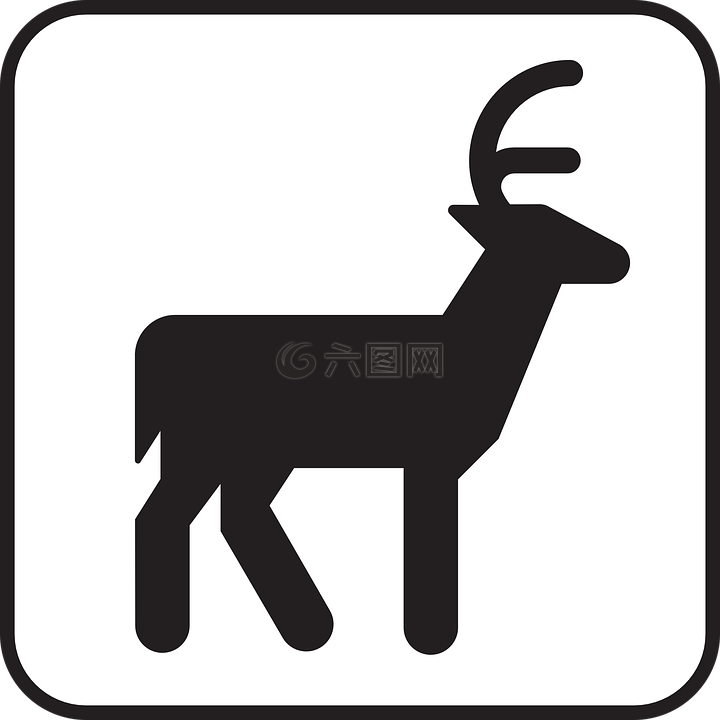 鹿,野生動(dòng)物,動(dòng)物
