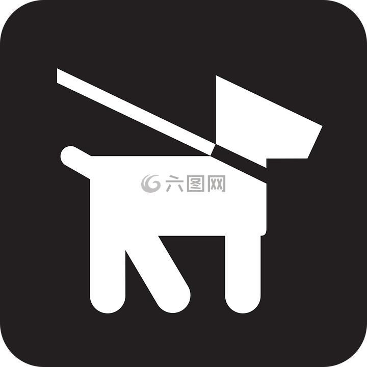 狗,那條狗繩,鉛