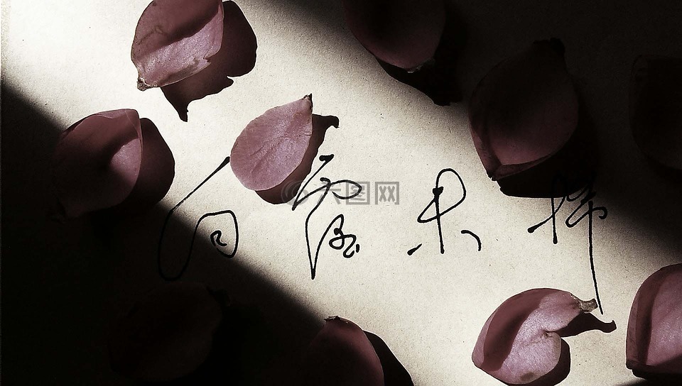 花瓣,文字,白露未悕