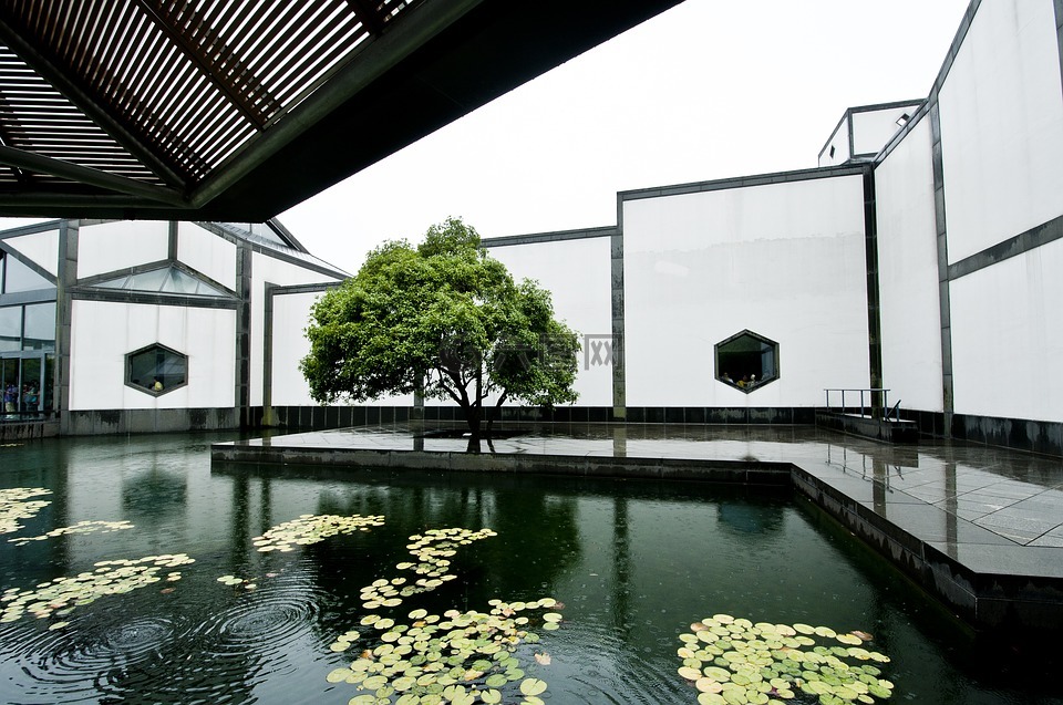 苏州博物馆,水池,雨水