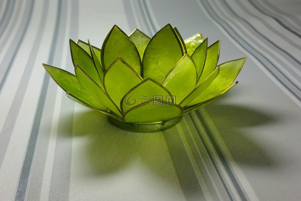 睡蓮,玻璃,綠色