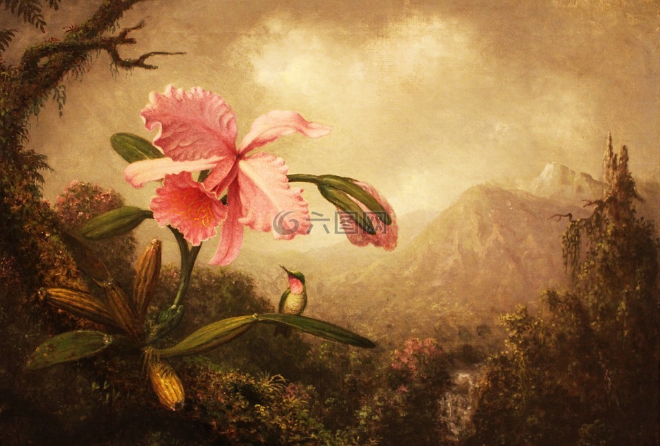 蜂鳥,莉莉,花