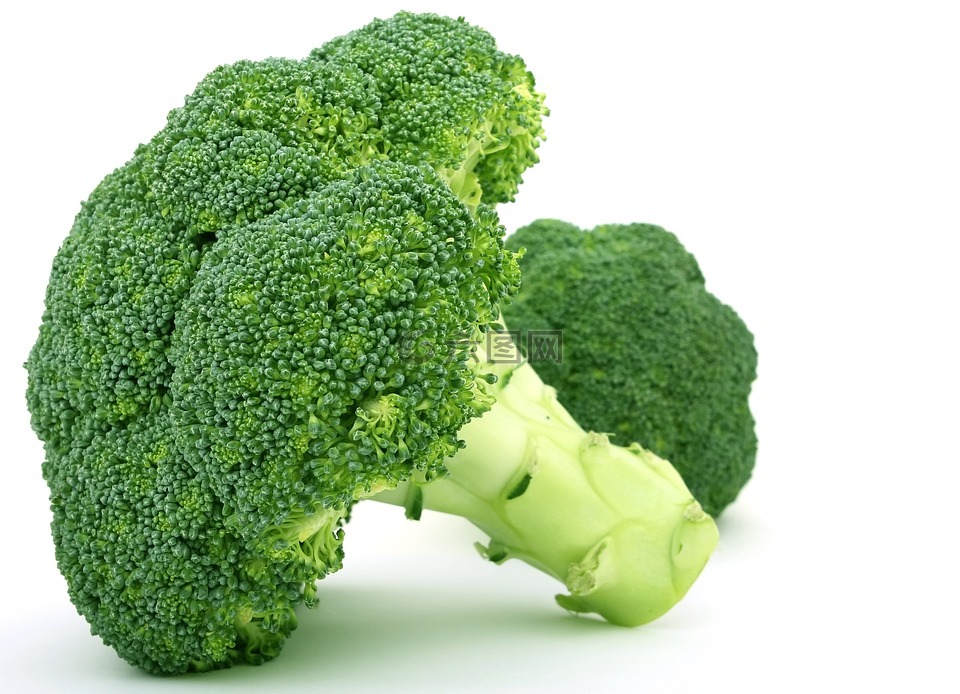 食欲,西蘭花,花椰菜 broccolli