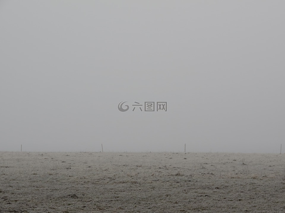 霧,天氣,冬天
