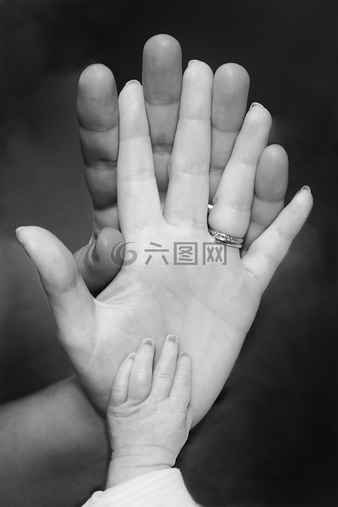 家庭,愛情,愛